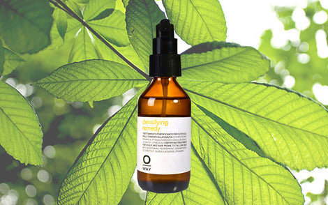 Organic Hair Treatments